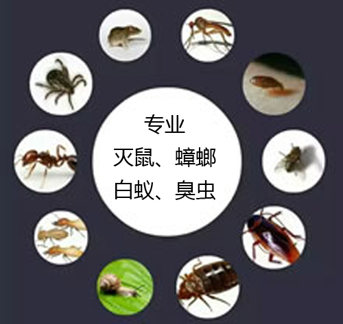 ���I(y��)�������������ρ�����x